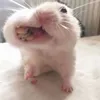 hoqnhanbacxiu