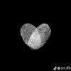 dodi05774