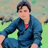 noorwazirnoorw616
