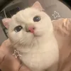 _khinaoxuhuongdoiten.0_
