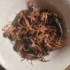 anh.c3075
