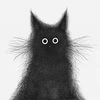 petlover7625