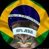 brazilian_bahian_cat