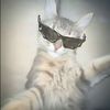 whocaress198