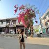prashantdhami_
