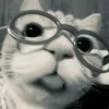 alan3kk27