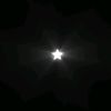 coco_3035