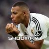 shodik_ftb