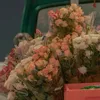 llaya_6