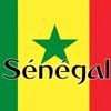 babasenegal656