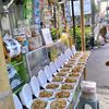 galerijajanmastrip7