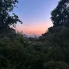chloesbts