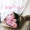 romayssaa42