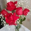 rosa.vicente989