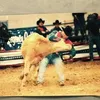eric_brill65