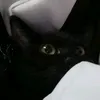 theblackcatlady1999