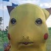 normalpikachu0