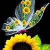 karol3925