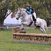 _minty_equine_