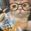 hello_kitty_23sta