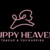 puppyheavenlasvegas1