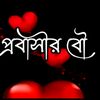 user5295082471225