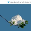 nour_joud7