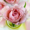 tram_nguyen11181
