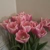 anna________________3