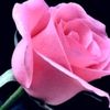 user290844850