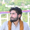 Ali gillani