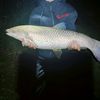 feedarfiahing_2011