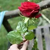 mariamh259