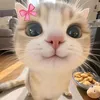 nicaprety0