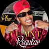 plies_algernod_wash