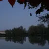 bally_fisherman
