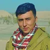 ahmadshahamani10