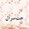 shakeelhussainjattsaral