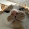 khanhthu_21