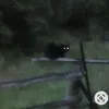 blacky_the_furry.pl