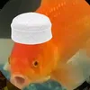 r4n1_13