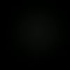 maynor_007