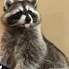 berryy738