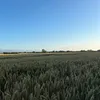 .edieieie