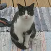 justtinyrosie