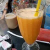 asilrefeya
