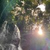 willynathanael_2779