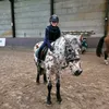 roelsmeets4