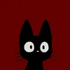 jashim_dmarunz