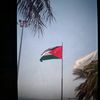1raneem11
